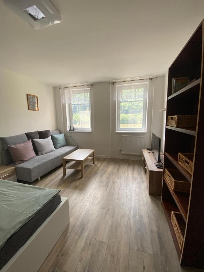 Apartmany U Viaduktu 46 Усті-над-Лабем Екстер'єр фото